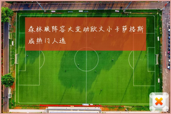 森林狼阵容大变动欧文小卡萨格斯成热门人选
