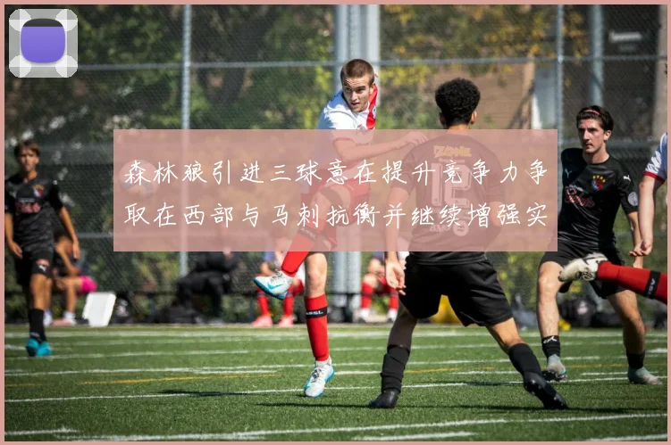 森林狼引进三球意在提升竞争力争取在西部与马刺抗衡并继续增强实力